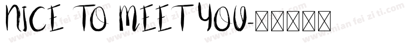 NICE TO MEET YOU字体转换